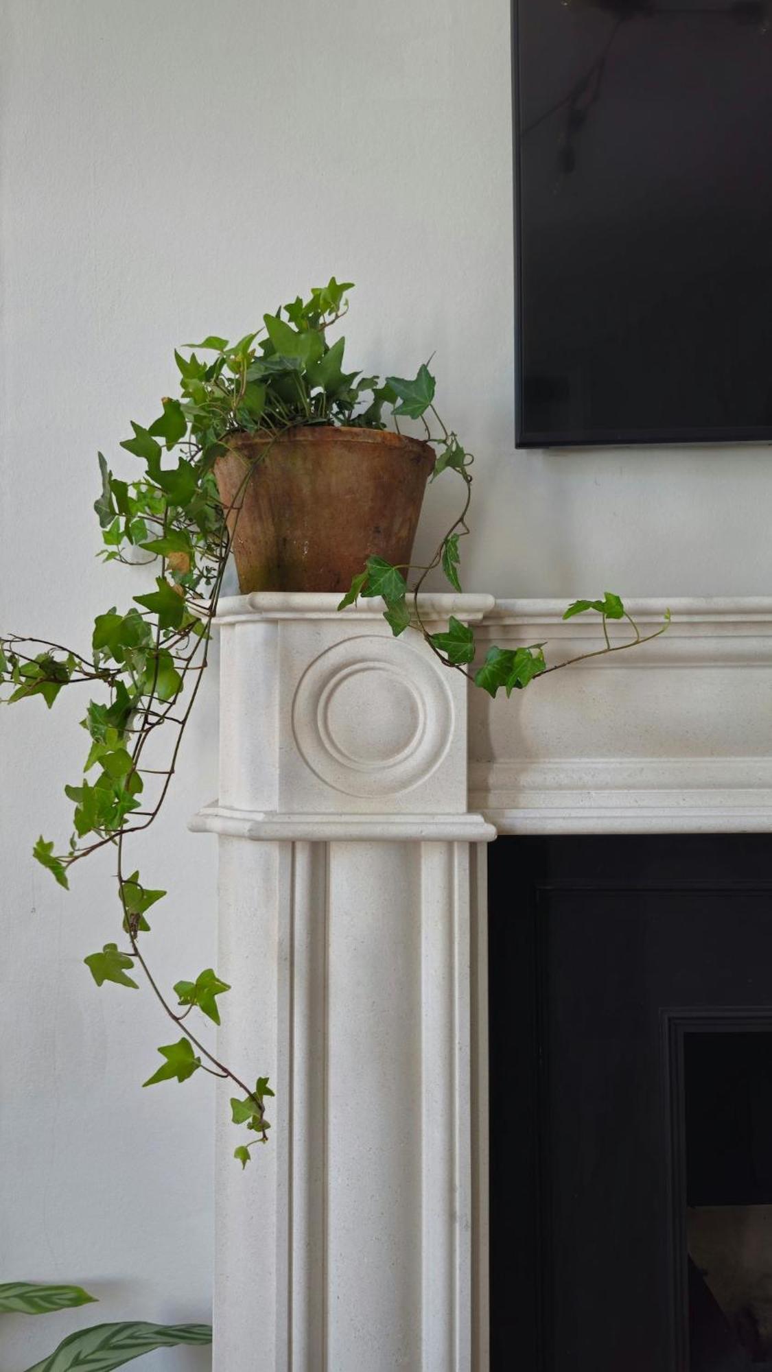 Charming Bright 2-bed Heritage Flat, Battersea Park, Londres